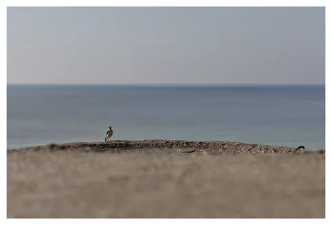 Photograph 15