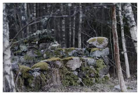Photograph 18